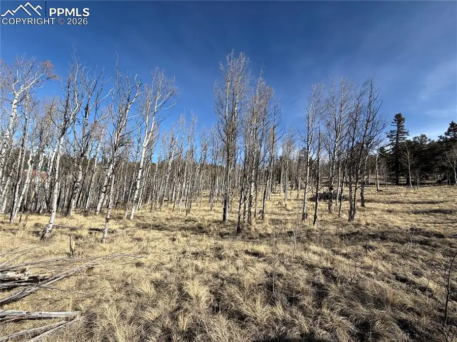 32 Sugar Loaf Lane, Jefferson, CO 80456 - #2