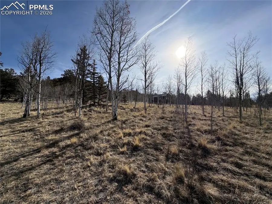 32 Sugar Loaf Lane, Jefferson, CO 80456 - #3