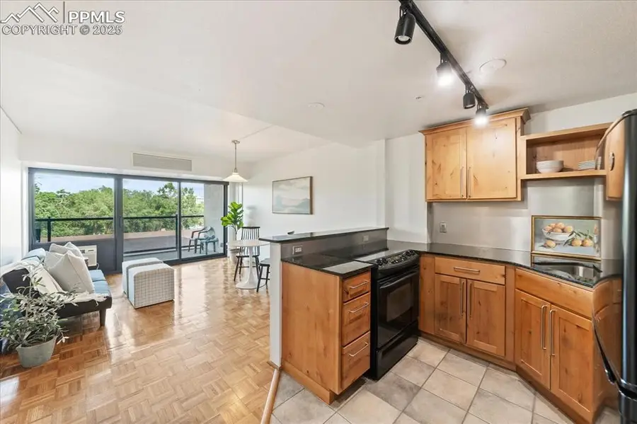 417 E Kiowa Street #405, Colorado Springs, CO 80903 - Image #2