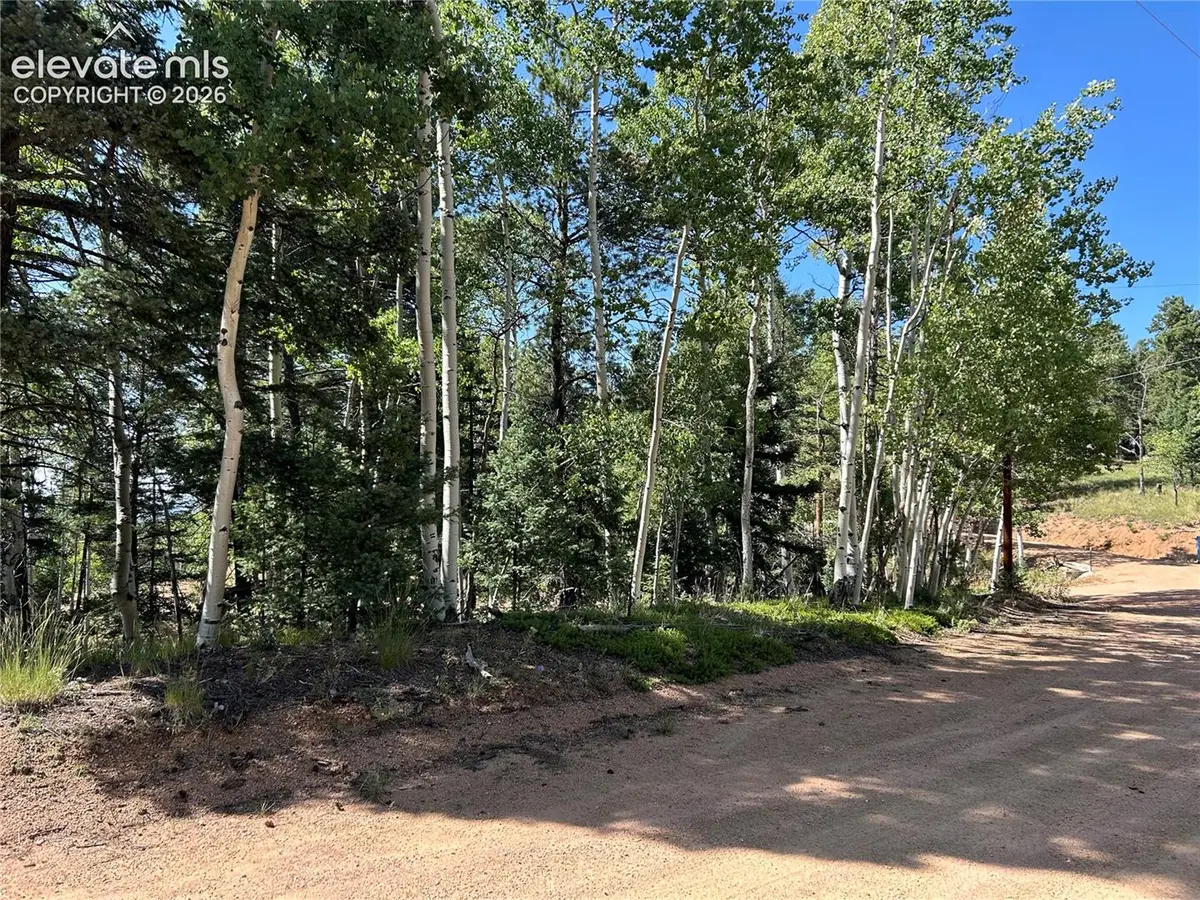 127 Rampart Circle, Florissant, CO 80816 - #1