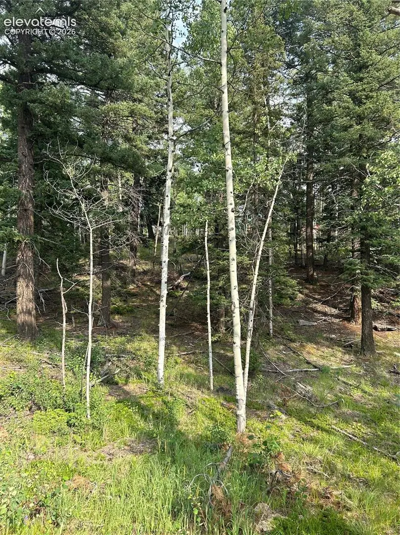 127 Rampart Circle, Florissant, CO 80816 - #3