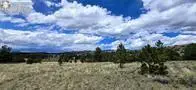 TBDLot 156 Crystal Falls Drive, Westcliffe, CO 81252