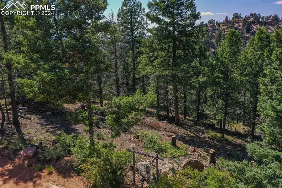 3546 N Mountain Estates Road, Florissant, CO 80816 - #2