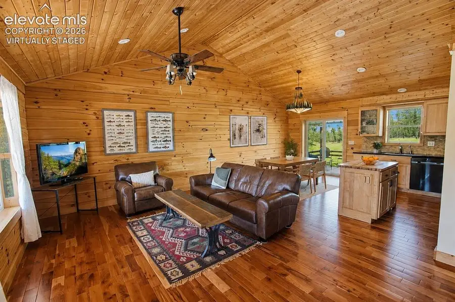 875 Hackamore Drive, Florissant, CO 80816 - #3