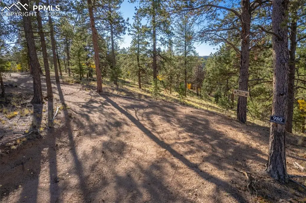 980 Spring Creek Drive, Divide, CO 80814 - Image #1