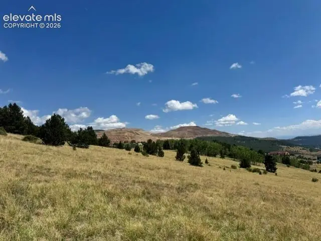 Unknown Road, Cripple Creek, CO 80813 - #2