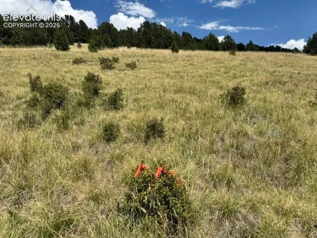 Unknown Road, Cripple Creek, CO 80813 - #3
