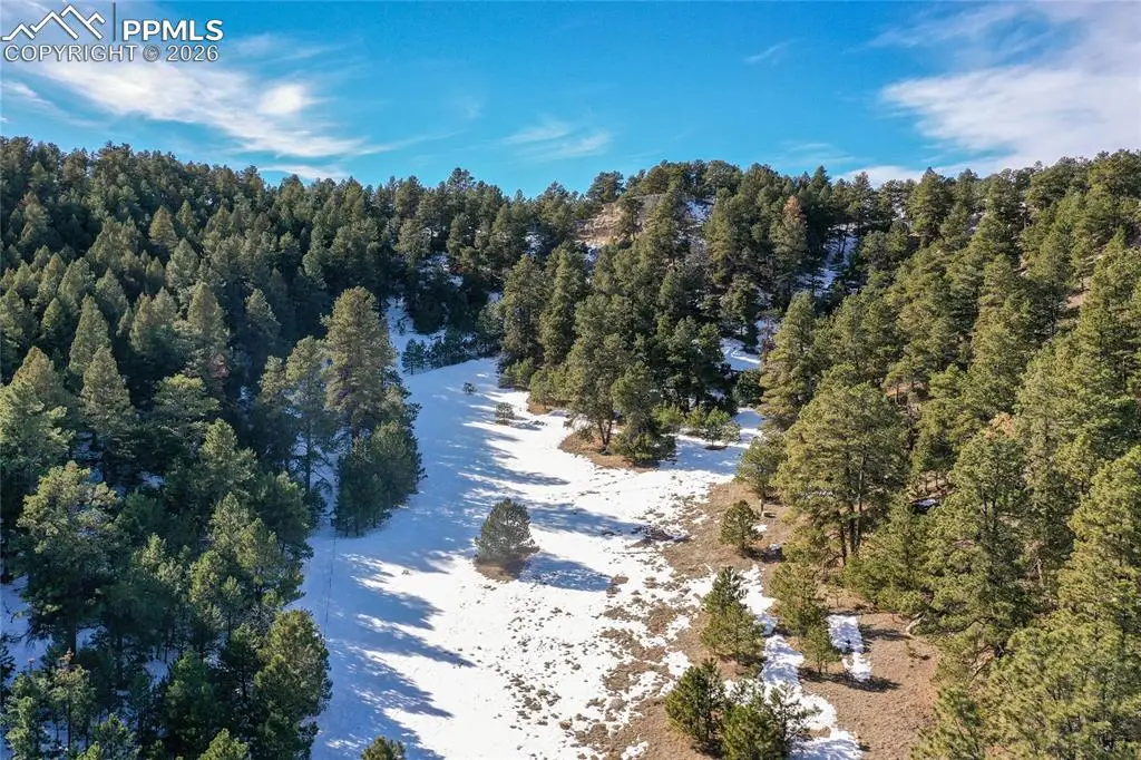 16490 Mesquite Road, Peyton, CO 80831 - #1