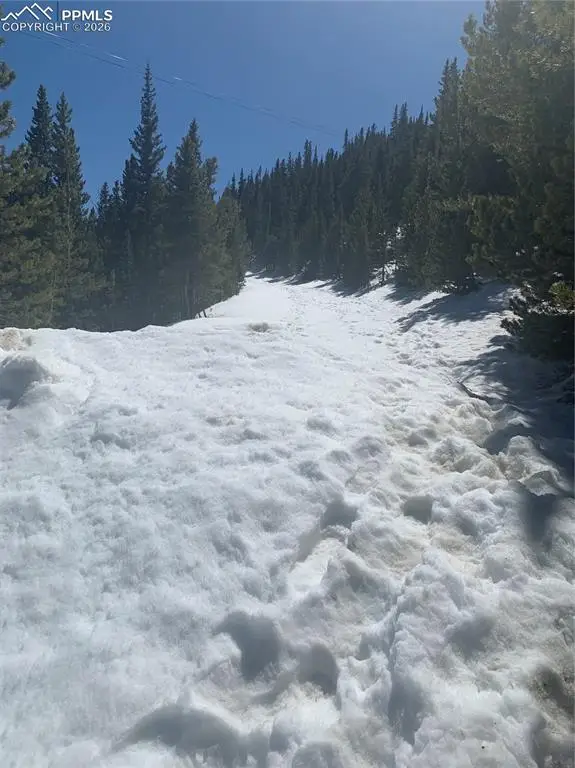 Hilltop Road, Idaho Springs, CO 80452 - Image #1