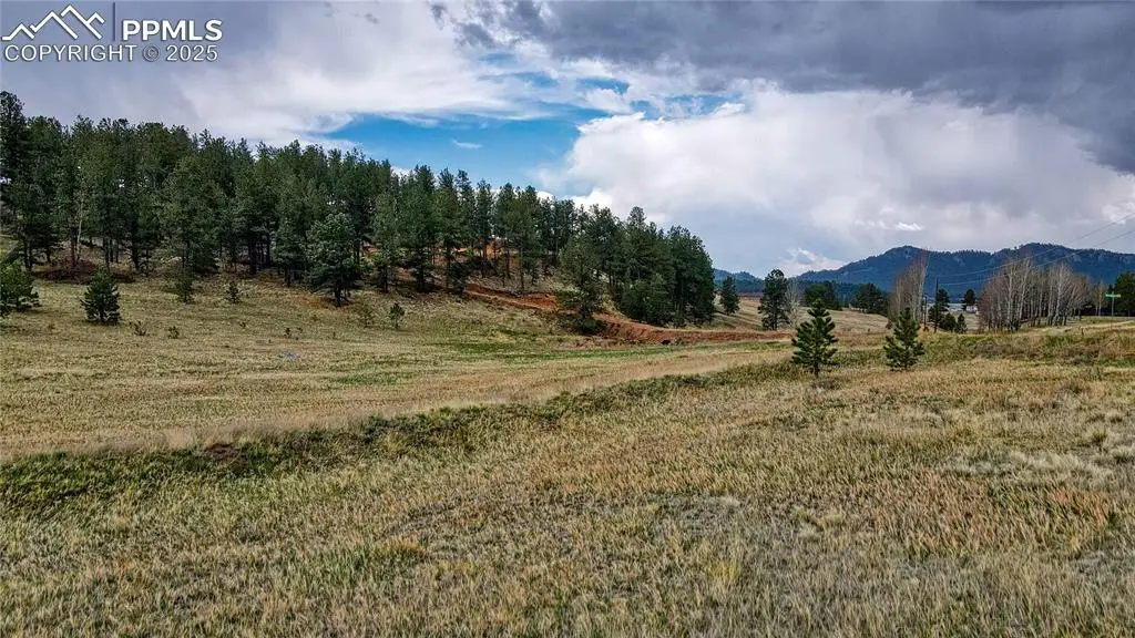 188 High Pasture Road, Florissant, CO 80816 - #1