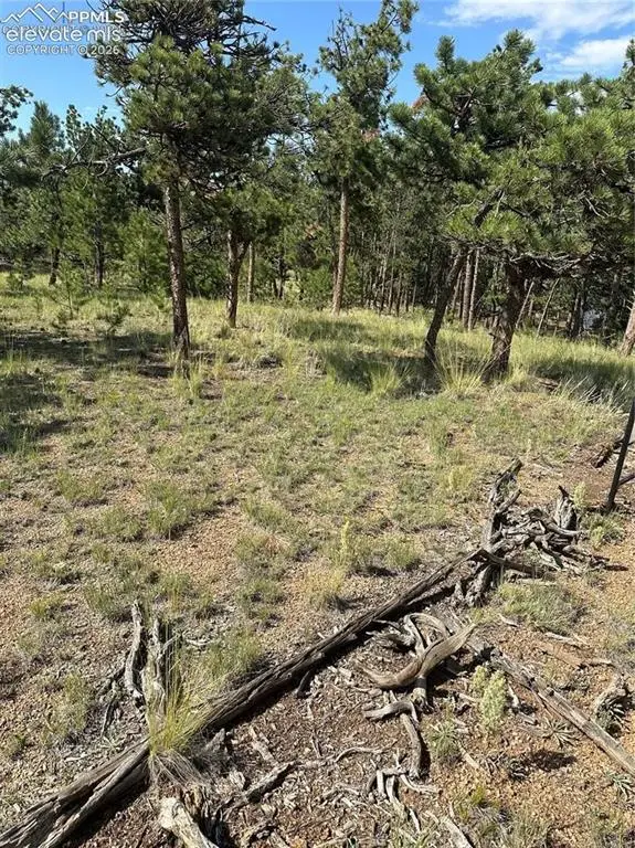 315 Thunder Ridge Road, Florissant, CO 80816