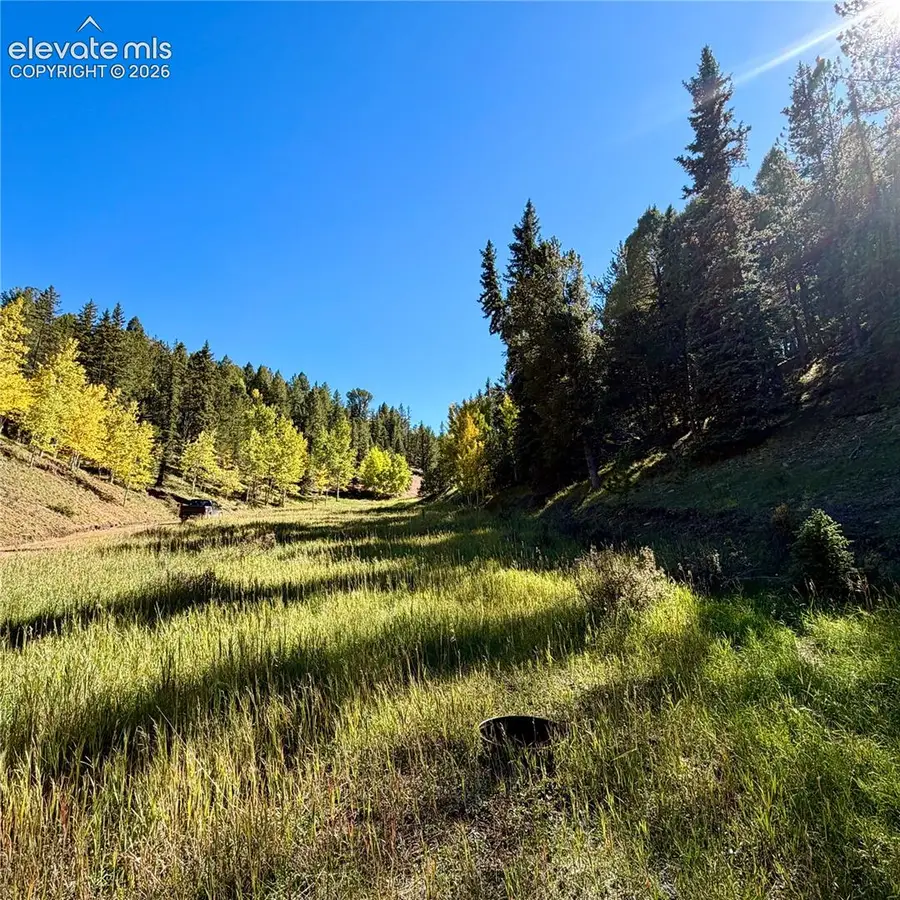 535 Willow Road, Divide, CO 80814 - #2