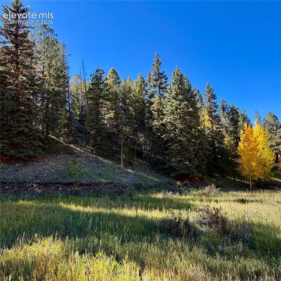 535 Willow Road, Divide, CO 80814 - #3