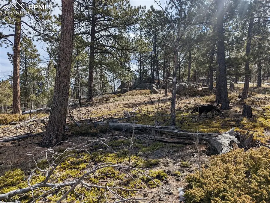 1620 Park Ridge Drive, Guffey, CO 80820 - #3