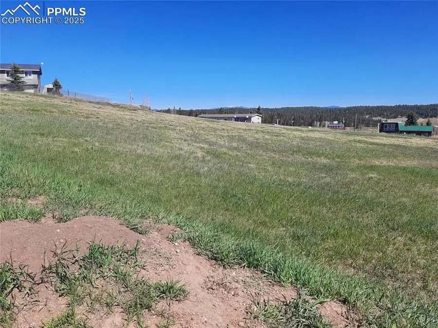 149 Will Scarlet Drive, Divide, CO 80814 - Image #2