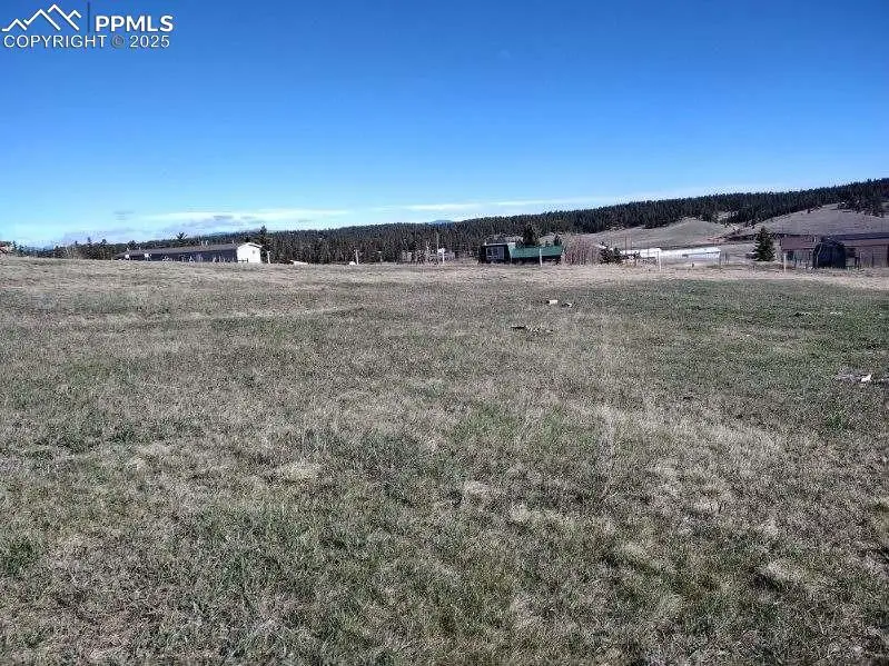 149 Will Scarlet Drive, Divide, CO 80814 - Image #3