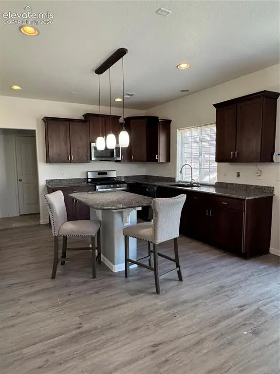 8290 Longleaf Lane, Colorado Springs, CO 80927 - #3