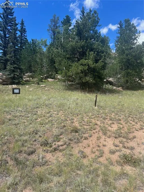 987 Eagle Rock Road, Florissant, CO 80816 - Image #1