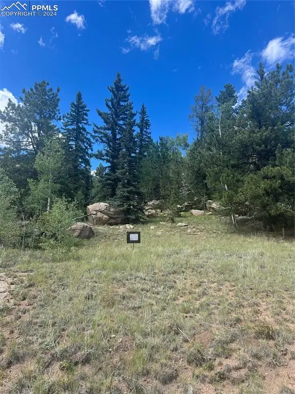 987 Eagle Rock Road, Florissant, CO 80816 - Image #2