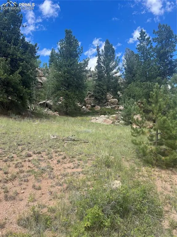 987 Eagle Rock Road, Florissant, CO 80816 - Image #3