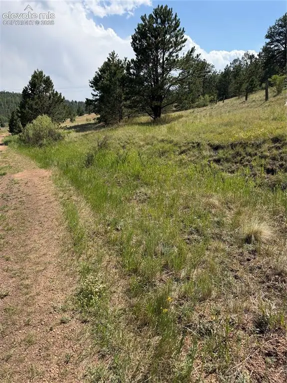 39 Rabbil Creek Trail, Florissant, CO 80816 - #1