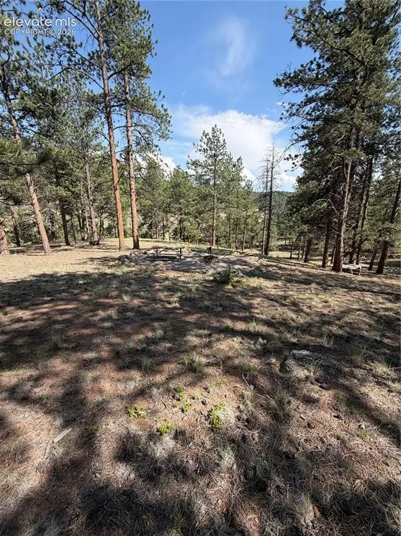 39 Rabbil Creek Trail, Florissant, CO 80816 - #2
