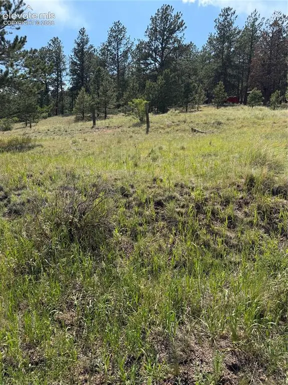 39 Rabbil Creek Trail, Florissant, CO 80816 - #3