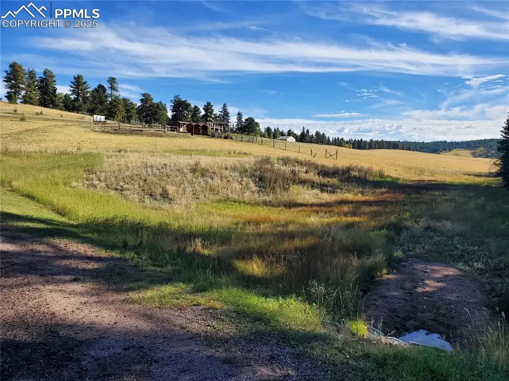 309 Pinaceae Heights, Divide, CO 80814 - Image #1