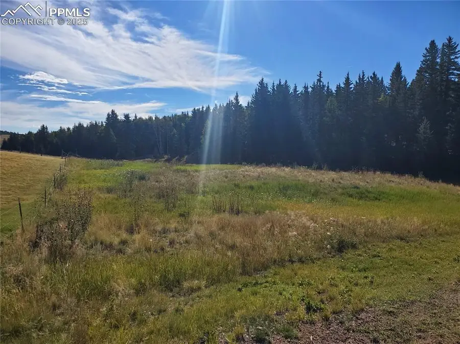 309 Pinaceae Heights, Divide, CO 80814 - Image #3