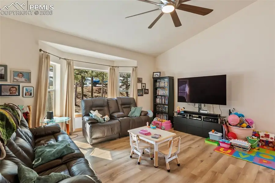 935 Bennett Drive, Cripple Creek, CO 80813 - #3