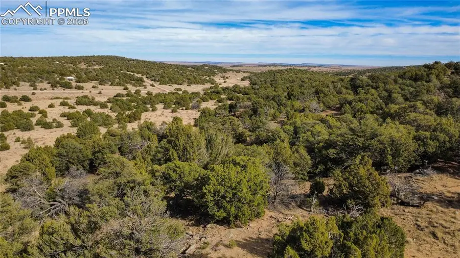 618 Pico Del Questa Na, Walsenburg, CO 81089 - #3
