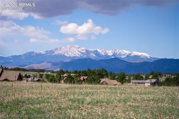 16954 Horizon Ridge Trail, Colorado Springs, CO 80908