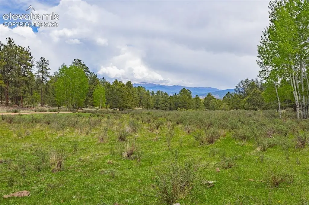 4250 Doe Valley Road, Guffey, CO 80820 - #1