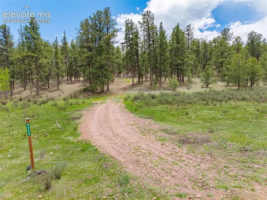 4250 Doe Valley Road, Guffey, CO 80820 - #3