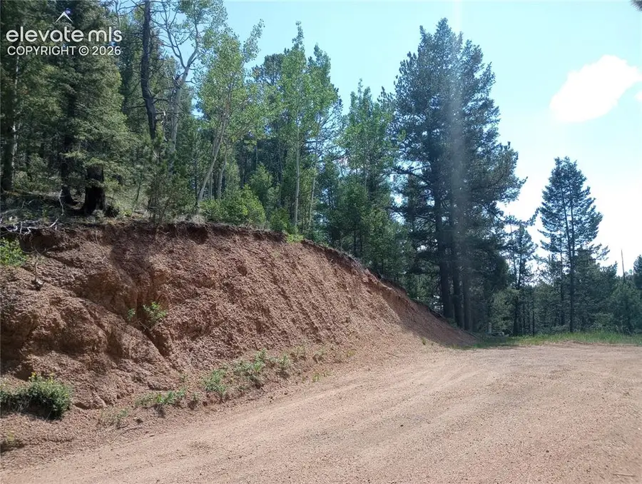 138 Glenwood Lane, Woodland Park, CO 80863 - #2
