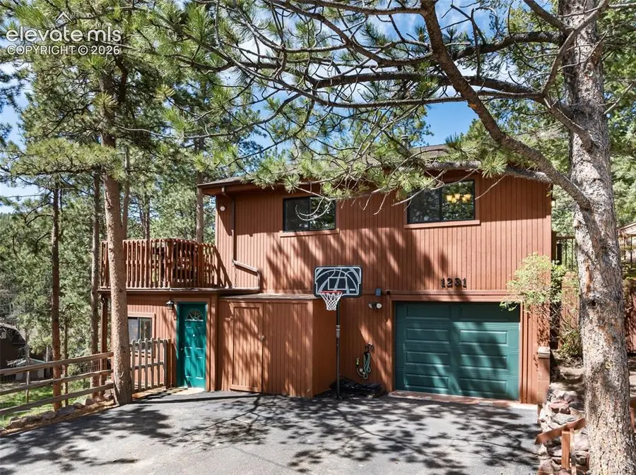 1231 W Midland Avenue, Woodland Park, CO 80863 - #3