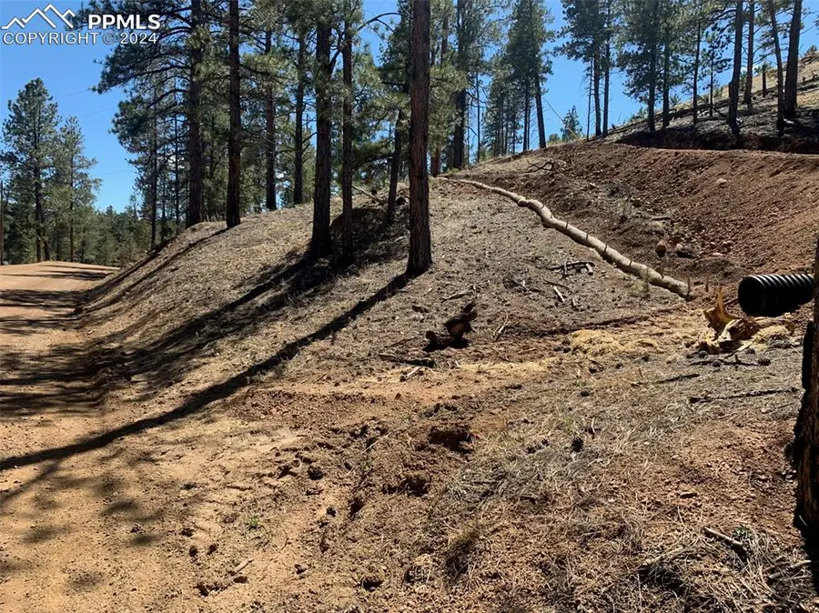 15421 Westcreek Road, Woodland Park, CO 80863 - #2