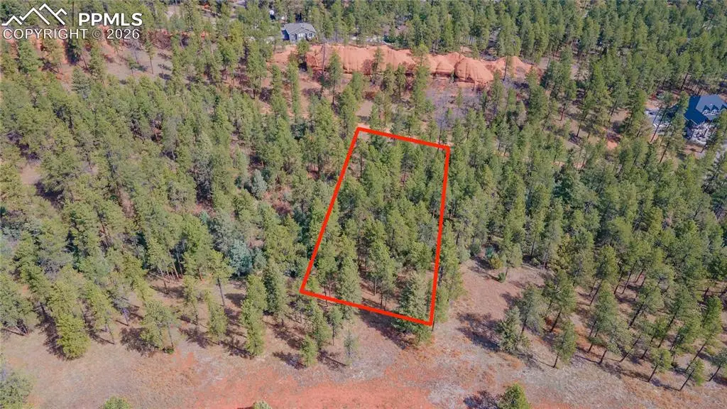 8257 Bannock Drive, Larkspur, CO 80118 - #1