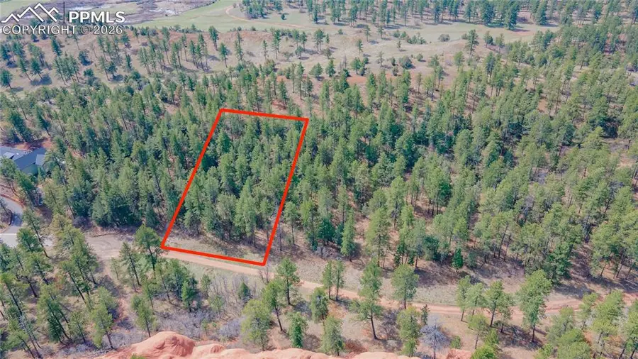 8257 Bannock Drive, Larkspur, CO 80118 - #3