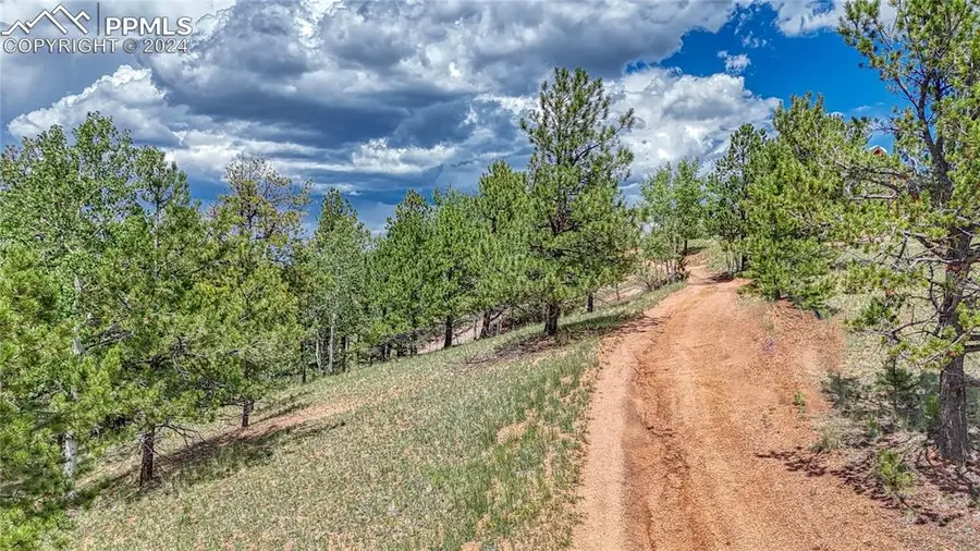 24 Wild Horse Circle, Cripple Creek, CO 80813 - #2