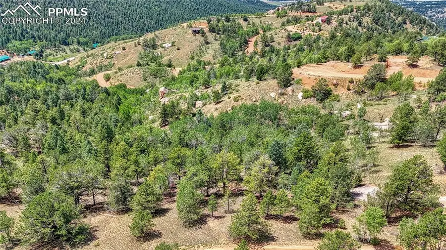24 Wild Horse Circle, Cripple Creek, CO 80813 - #3