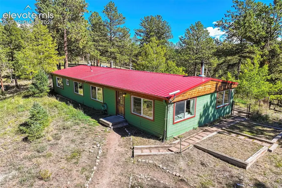 176 Chalk Circle Trail, Florissant, CO 80816 - #2