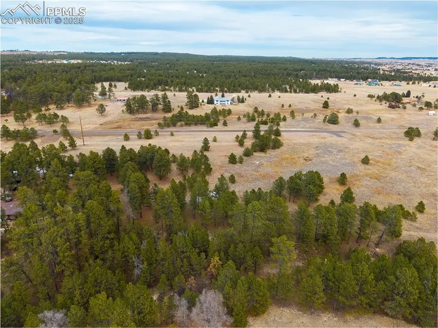 12015 Grandin Point, Elbert, CO 80106 - Image #3