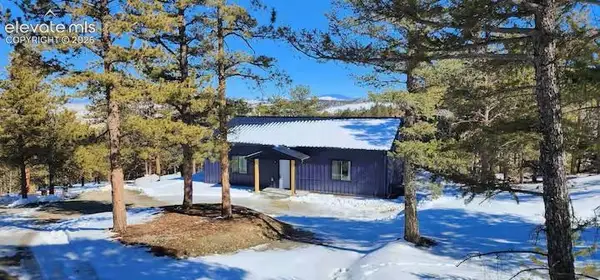 1173 Bellows Road, Hartsel, CO 80449