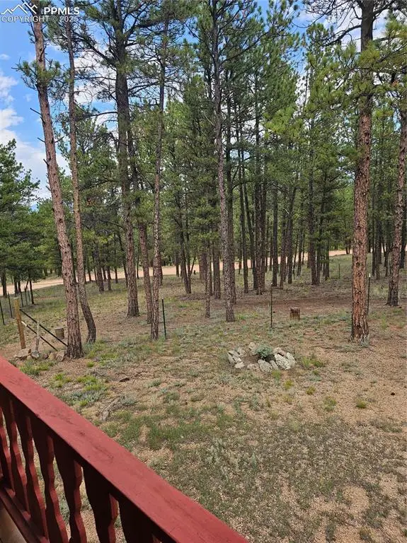 480 Blue Mountain Drive, Florissant, CO 80816 - Image #2