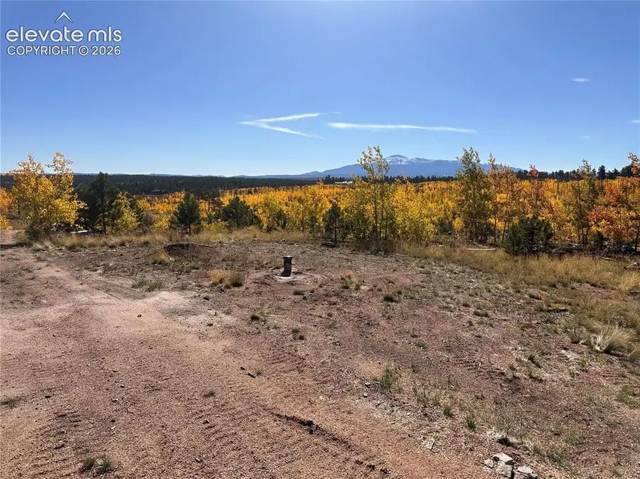 Unit 2 County Road 51, Florissant, CO 80816 - #3