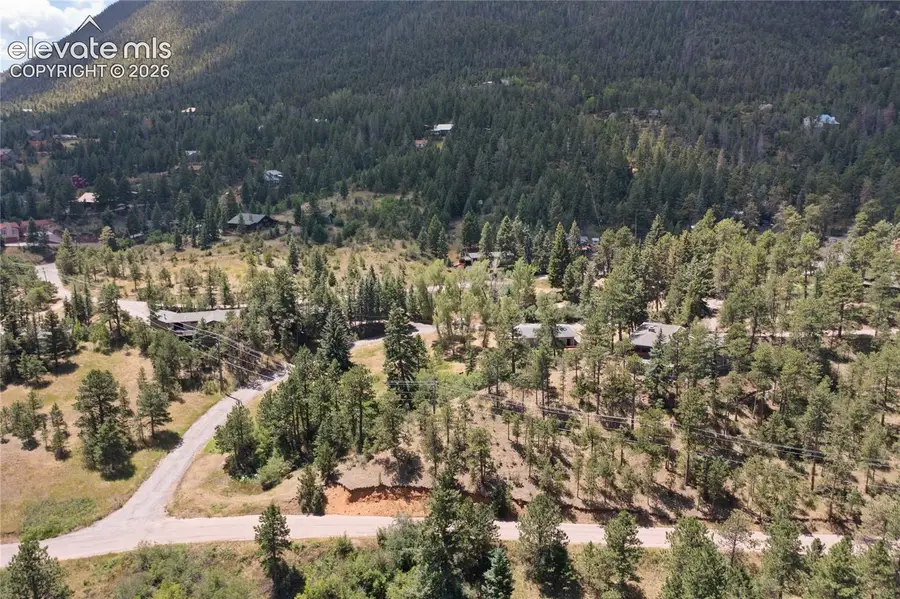 9340 Columbine Trail, Cascade, CO 80809 - #3