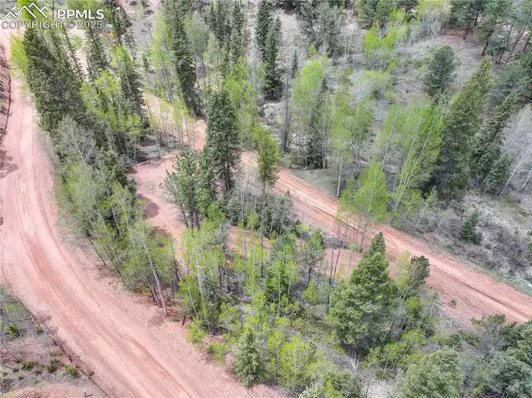 416 Willow Road, Divide, CO 80814