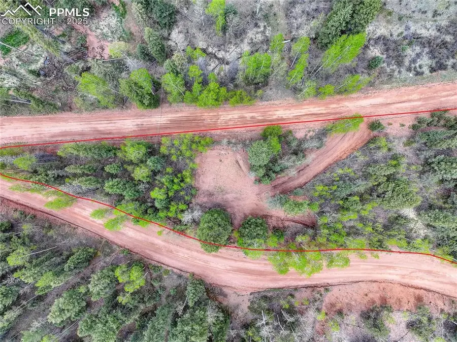 416 Willow Road, Divide, CO 80814 - #2