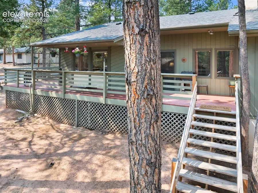 723 Pine Street, Woodland Park, CO 80863 - #3